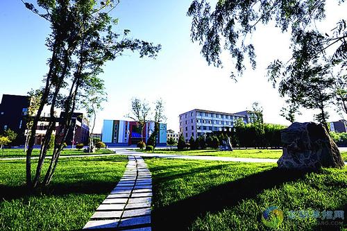 為什么高職單招文化、面試和志愿填報(bào)三個(gè)方面都很重要？