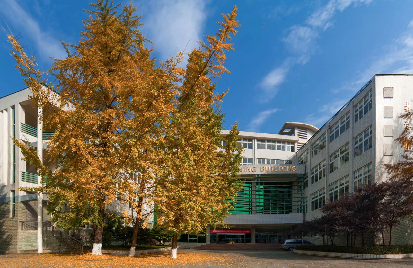 院校解讀：2025年單招，四川電力職業(yè)技術(shù)學院要多少分才“敢”報？